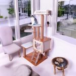 katlı kedi oyun evi