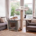 Patihomes XL Lâl Yataklı Tırmalamalı Kedi Evi | Kedi Tırmalama Evi